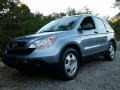 2009 Glacier Blue Metallic Honda CR-V LX 4WD  photo #1