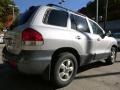 Smart Silver - Santa Fe GLS Photo No. 3