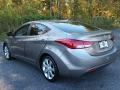 Desert Bronze - Elantra Limited Photo No. 9