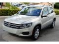 White Gold Metallic - Tiguan S Photo No. 4