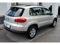 White Gold Metallic - Tiguan S Photo No. 9