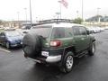 2014 Army Green Toyota FJ Cruiser 4WD  photo #10