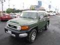 Army Green - FJ Cruiser 4WD Photo No. 14