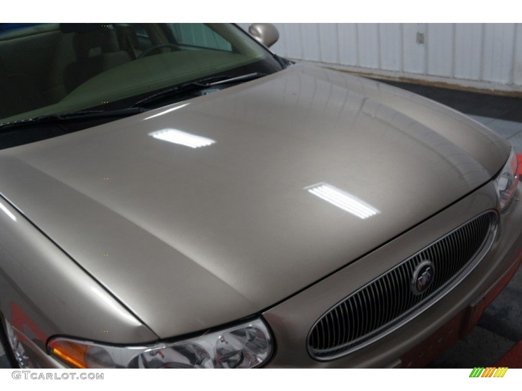 2004 LeSabre Custom - Light Bronzemist Metallic / Light Cashmere photo #42