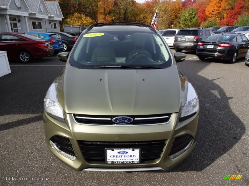 2013 Escape SEL 2.0L EcoBoost 4WD - Ginger Ale Metallic / Medium Light Stone photo #2