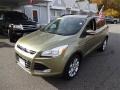 2013 Ginger Ale Metallic Ford Escape SEL 2.0L EcoBoost 4WD  photo #3