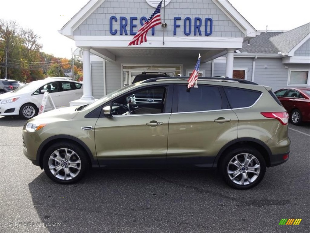 2013 Escape SEL 2.0L EcoBoost 4WD - Ginger Ale Metallic / Medium Light Stone photo #4