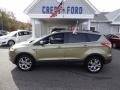 2013 Ginger Ale Metallic Ford Escape SEL 2.0L EcoBoost 4WD  photo #4