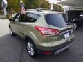 2013 Ginger Ale Metallic Ford Escape SEL 2.0L EcoBoost 4WD  photo #5