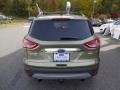2013 Ginger Ale Metallic Ford Escape SEL 2.0L EcoBoost 4WD  photo #6