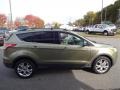2013 Ginger Ale Metallic Ford Escape SEL 2.0L EcoBoost 4WD  photo #8
