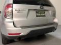 Steel Silver Metallic - Forester 2.5 X Premium Photo No. 18