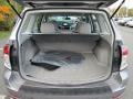 Spark Silver Metallic - Forester 2.5 X Photo No. 19