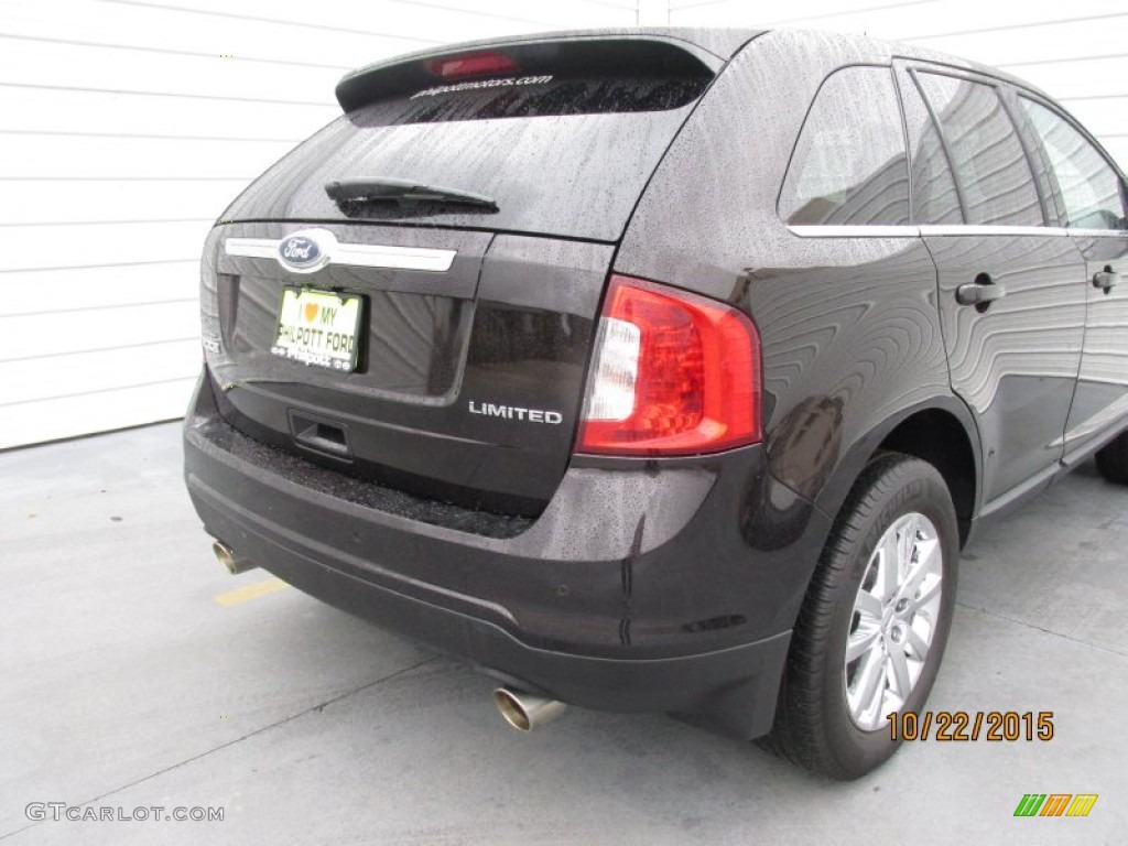 2014 Edge Limited - Kodiak Brown / Sienna photo #12