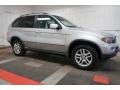 Titanium Silver Metallic - X5 3.0i Photo No. 6