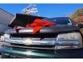 Forest Green Metallic - TrailBlazer LS 4x4 Photo No. 13