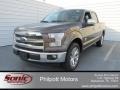 Caribou Metallic - F150 King Ranch SuperCrew Photo No. 7