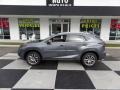 Nebula Gray Pearl 2015 Lexus NX 200t AWD