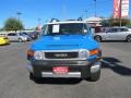 2007 Voodoo Blue Toyota FJ Cruiser 4WD  photo #3