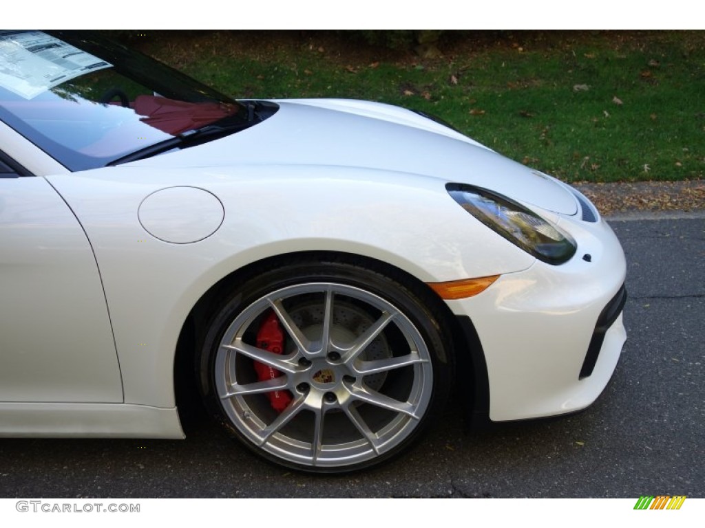 2016 Porsche Boxster Spyder Wheel Photo #108247674