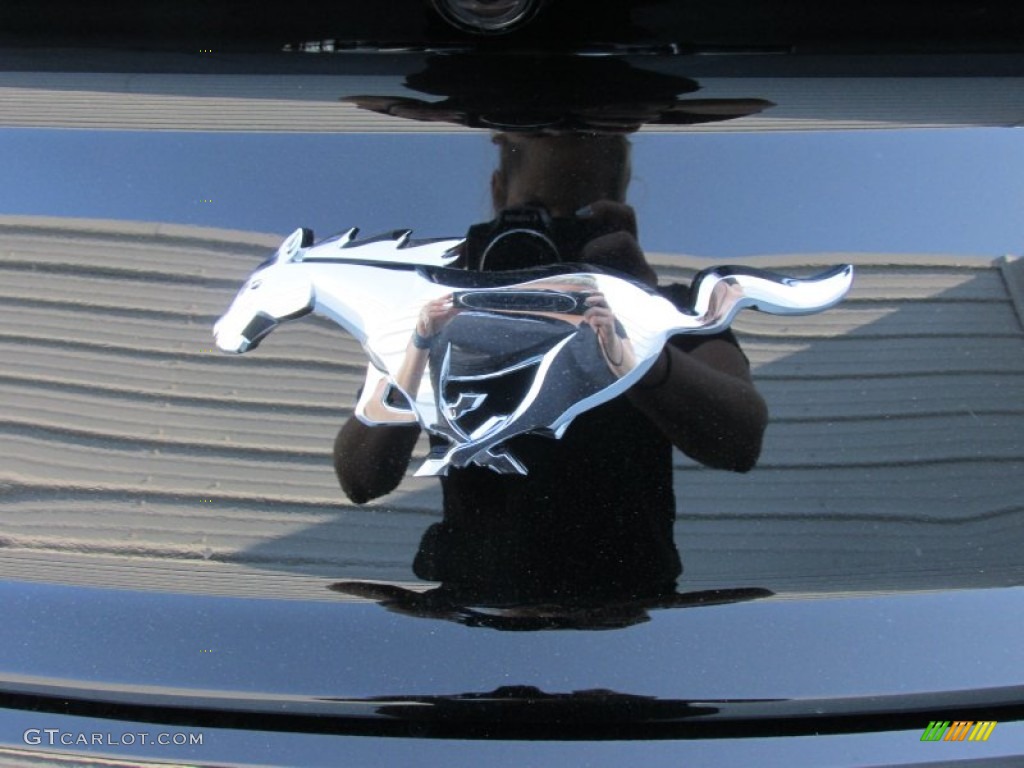 2016 Mustang EcoBoost Premium Convertible - Shadow Black / Ebony photo #13