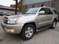 Dorado Gold Pearl 2004 Toyota 4Runner Limited 4x4 Exterior