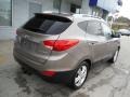 2013 Chai Bronze Hyundai Tucson GLS AWD  photo #8