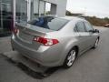 Palladium Metallic - TSX Sedan Photo No. 7