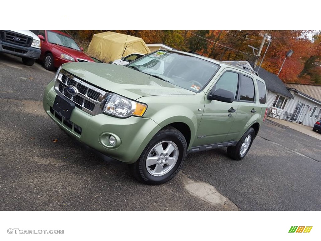 2008 Escape XLT V6 4WD - Kiwi Green Metallic / Camel photo #1