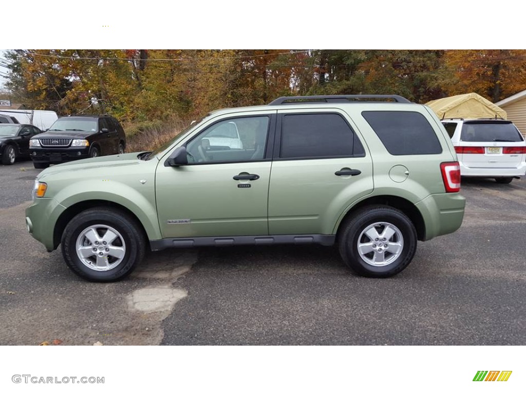 2008 Escape XLT V6 4WD - Kiwi Green Metallic / Camel photo #3