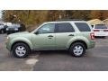 Kiwi Green Metallic - Escape XLT V6 4WD Photo No. 3