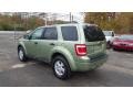 Kiwi Green Metallic - Escape XLT V6 4WD Photo No. 4