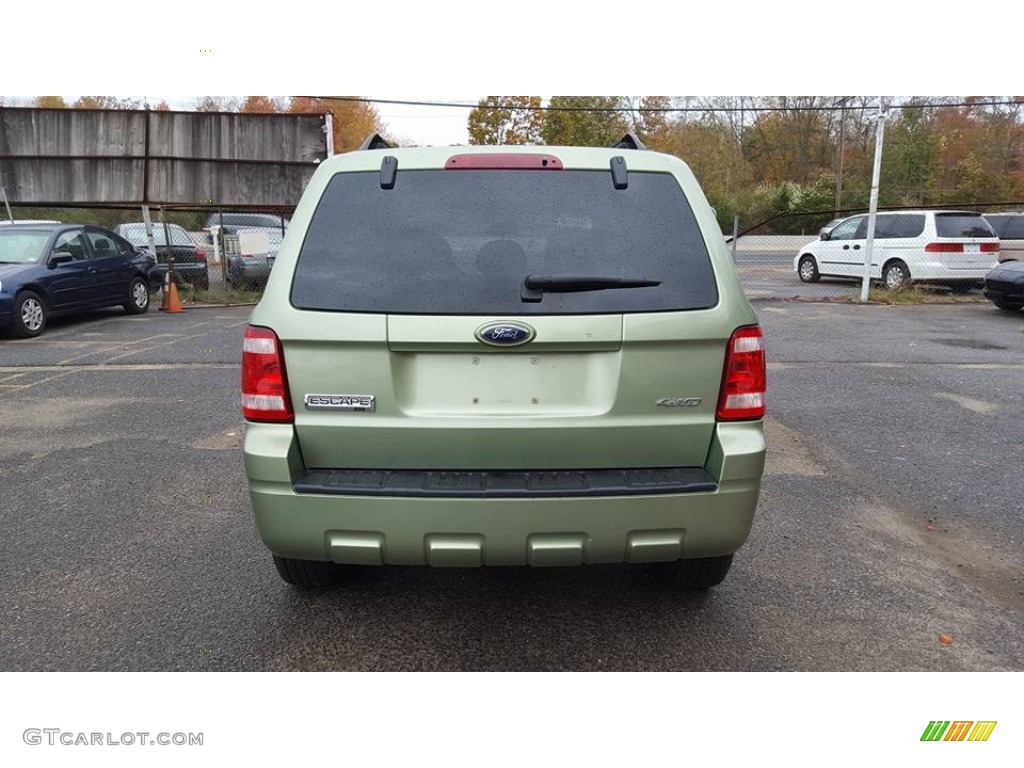 2008 Escape XLT V6 4WD - Kiwi Green Metallic / Camel photo #5