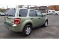 Kiwi Green Metallic - Escape XLT V6 4WD Photo No. 6