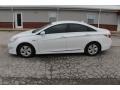 Porcelain White Pearl - Sonata Hybrid Photo No. 2