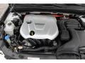 Porcelain White Pearl - Sonata Hybrid Photo No. 21