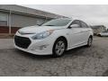 Porcelain White Pearl - Sonata Hybrid Photo No. 25