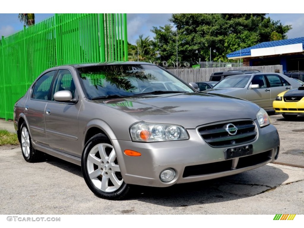 2002 Maxima GLE - Sterling Mist Metallic / Black photo #28