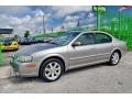 2002 Sterling Mist Metallic Nissan Maxima GLE  photo #54