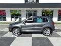 2014 Pepper Gray Metallic Volkswagen Tiguan SE  photo #1