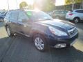 2010 Azurite Blue Pearl Subaru Outback 2.5i Limited Wagon  photo #4
