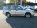 Platinum Silver Metallic - Forester 2.5 XS Photo No. 5