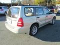 Platinum Silver Metallic - Forester 2.5 XS Photo No. 6