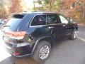 Black Forest Green Pearl - Grand Cherokee Limited 4x4 Photo No. 6