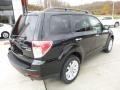 Obsidian Black Pearl - Forester 2.5 X Premium Photo No. 8