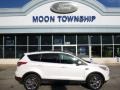 2013 White Platinum Metallic Tri-Coat Ford Escape SEL 2.0L EcoBoost 4WD  photo #1