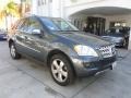 Steel Grey Metallic 2010 Mercedes-Benz ML 350