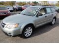 Seacrest Green Metallic 2009 Subaru Outback 2.5i Special Edition Wagon Exterior