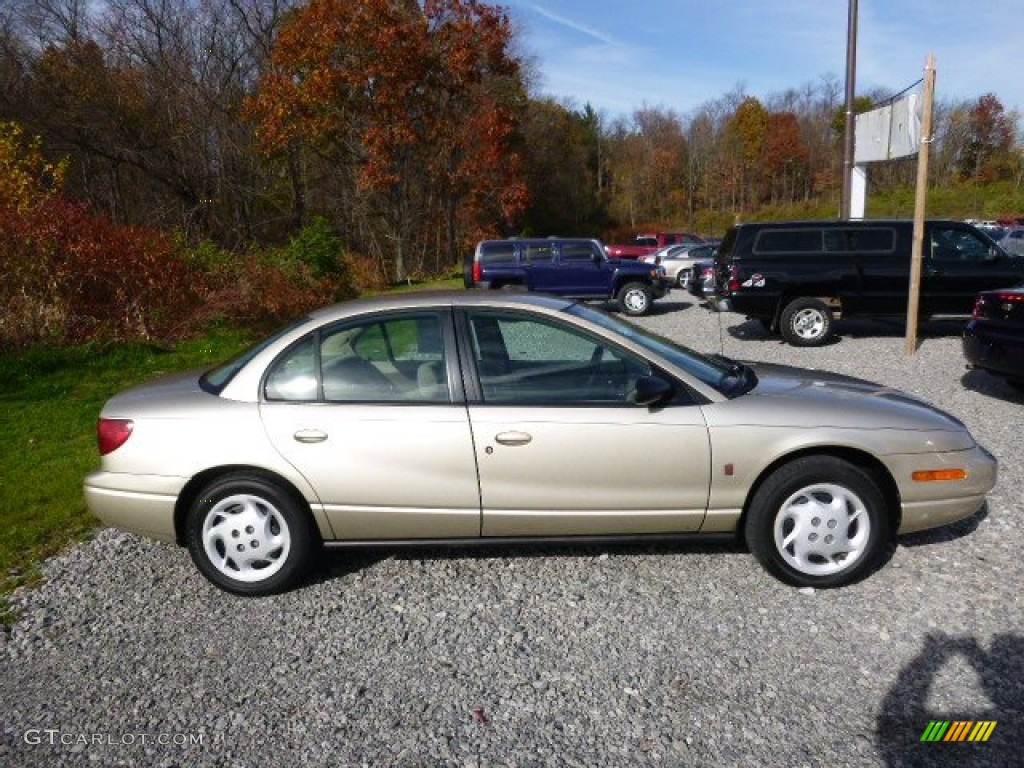 2002 S Series SL2 Sedan - Gold / Tan photo #6