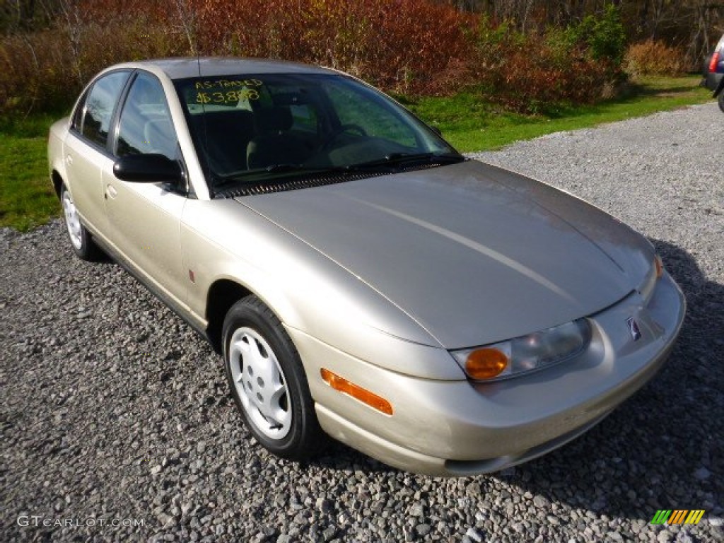 2002 S Series SL2 Sedan - Gold / Tan photo #7